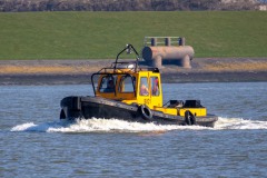 IMG_5005