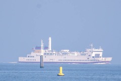 IMG_5006
